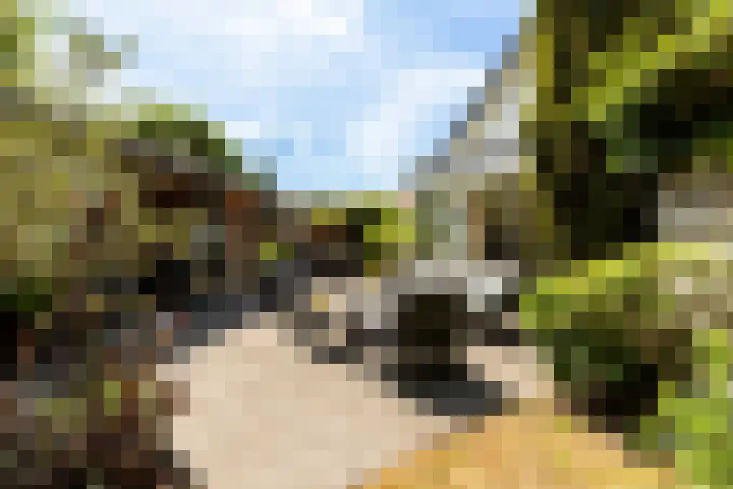 Koekoeksbloemlaan 3 Baarn thumbnail 38