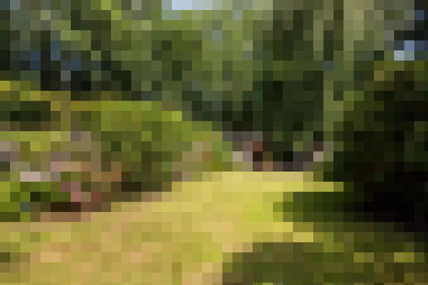 Koekoeksbloemlaan 3 Baarn thumbnail 39