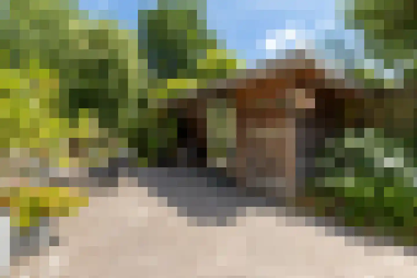 Koekoeksbloemlaan 3 Baarn thumbnail 4