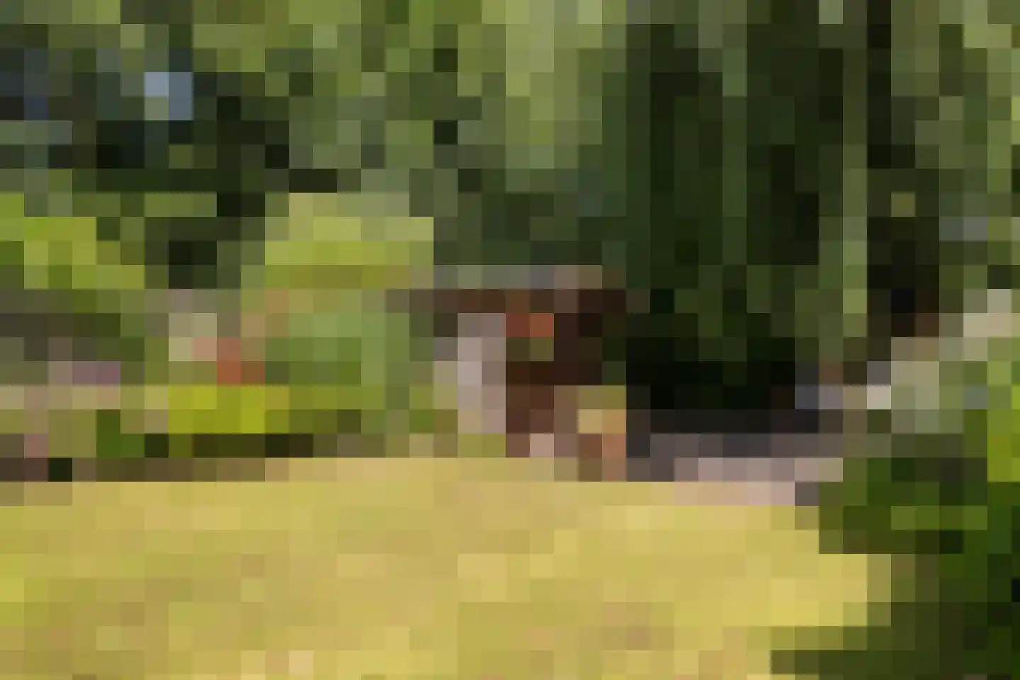Koekoeksbloemlaan 3 Baarn thumbnail 40