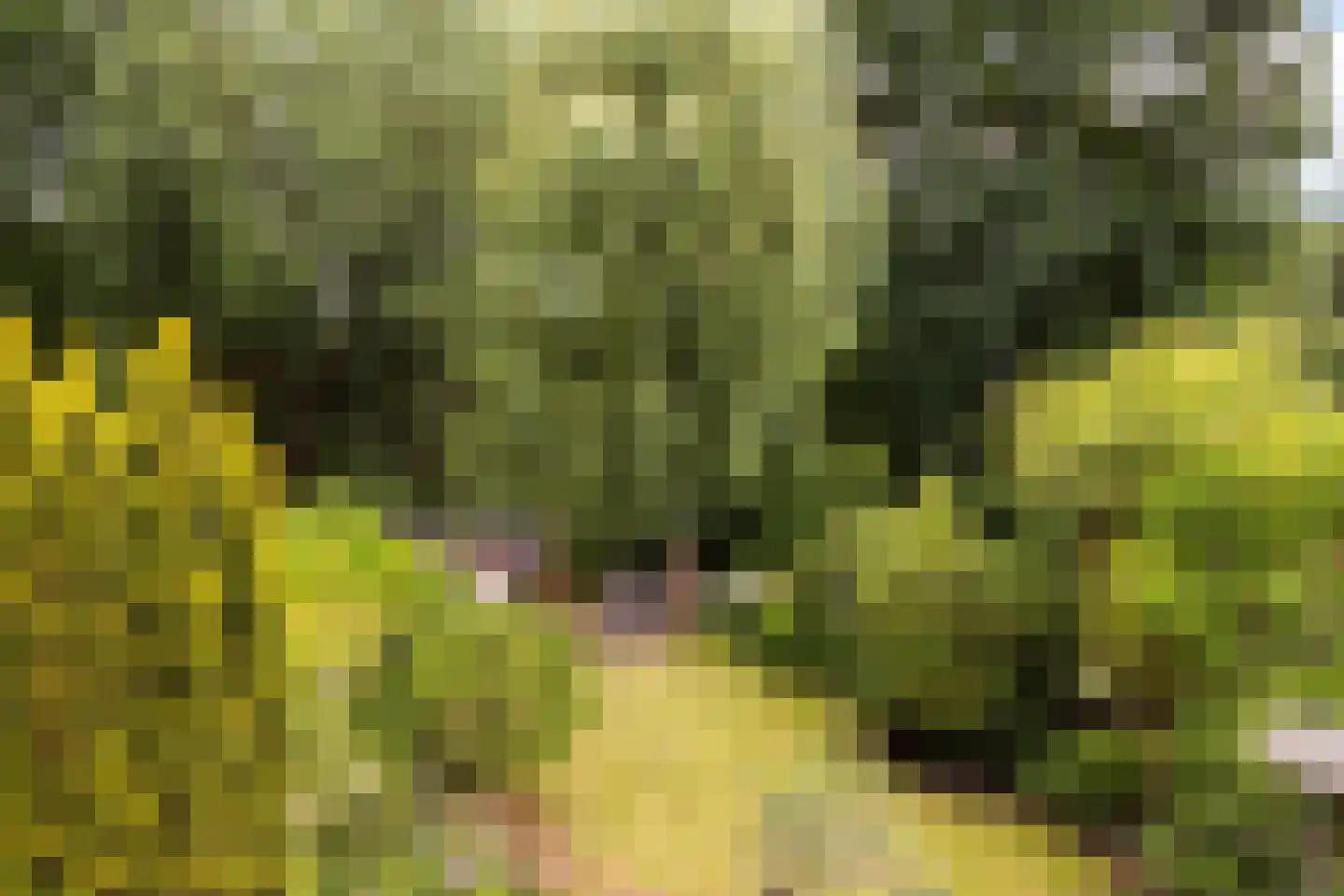 Koekoeksbloemlaan 3 Baarn thumbnail 41