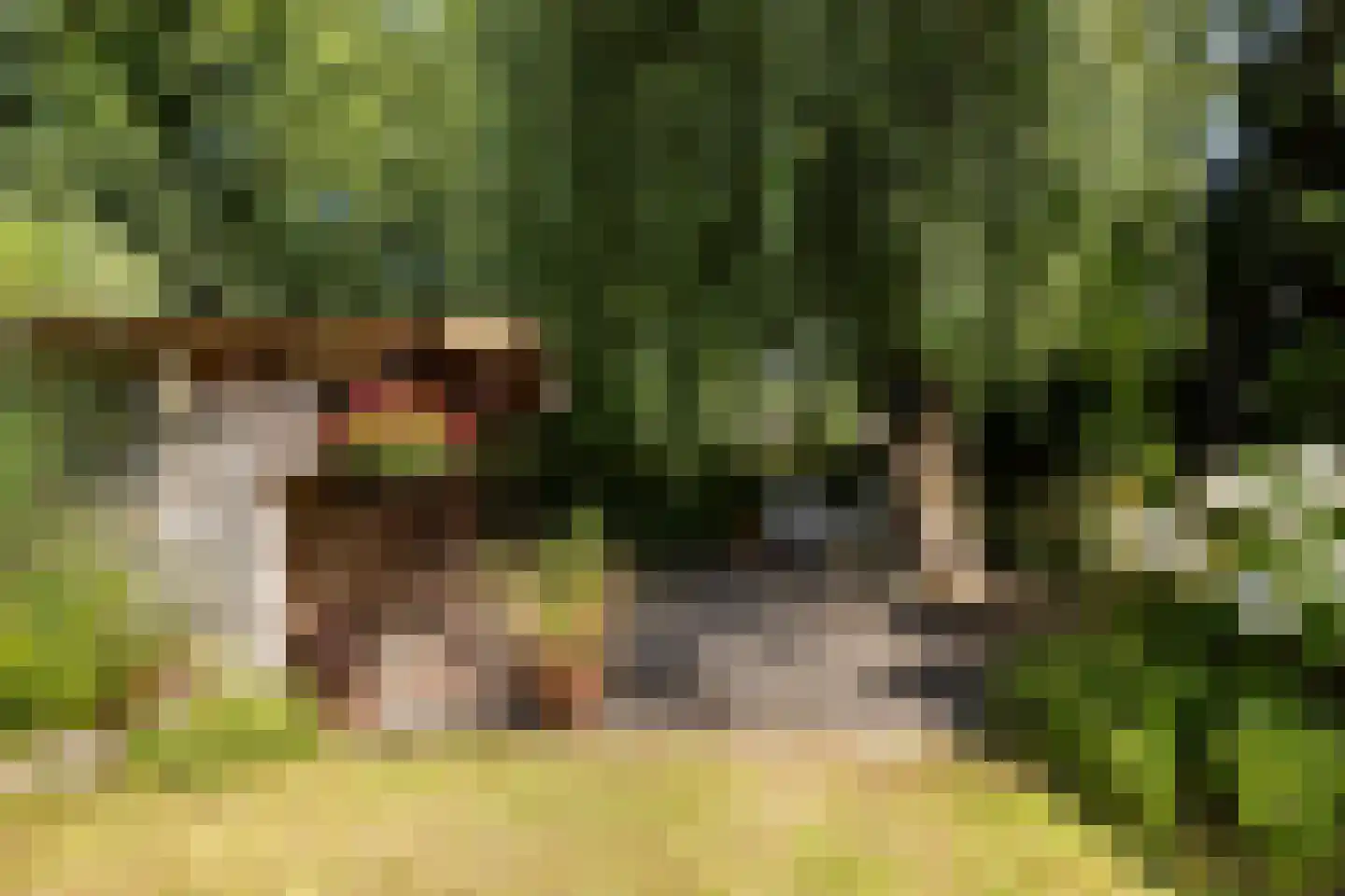 Koekoeksbloemlaan 3 Baarn thumbnail 42
