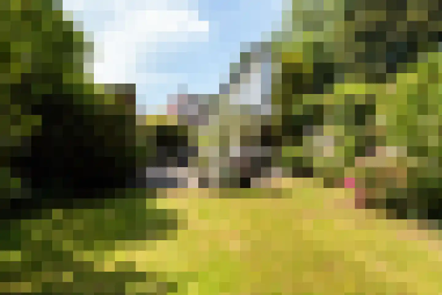Koekoeksbloemlaan 3 Baarn thumbnail 43