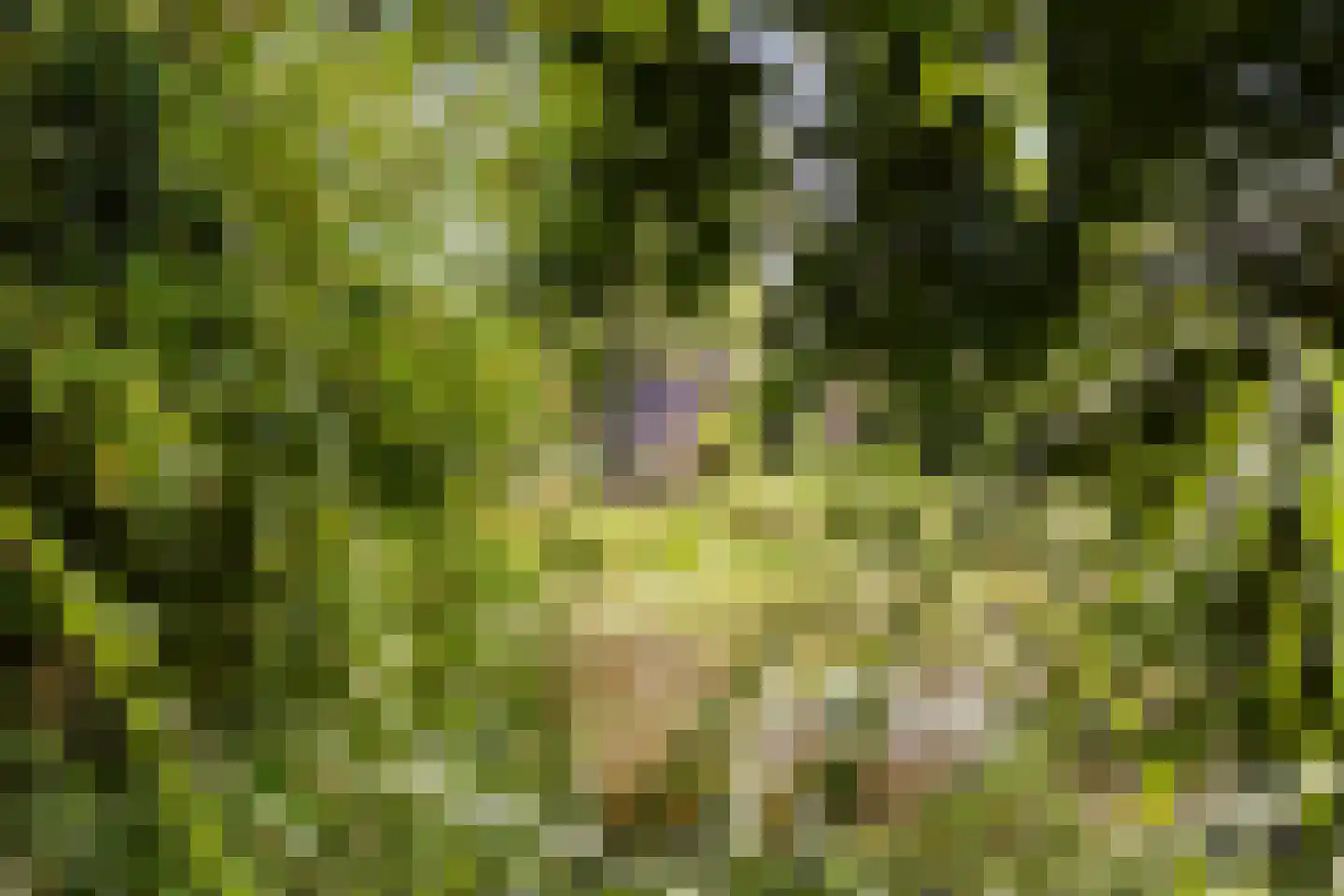 Koekoeksbloemlaan 3 Baarn thumbnail 44