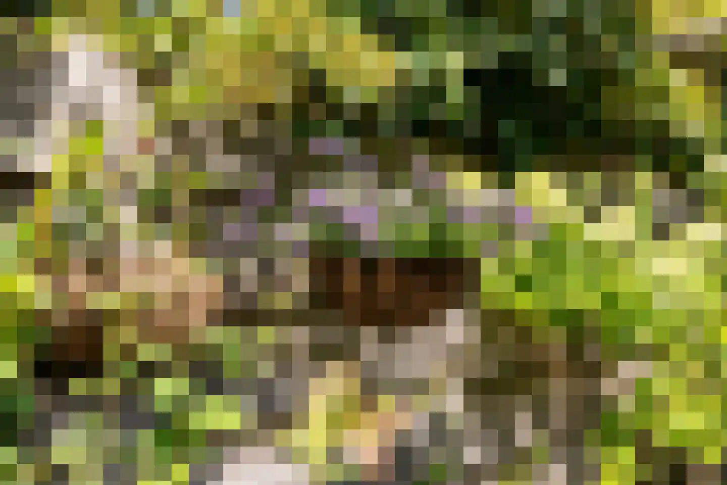 Koekoeksbloemlaan 3 Baarn thumbnail 45