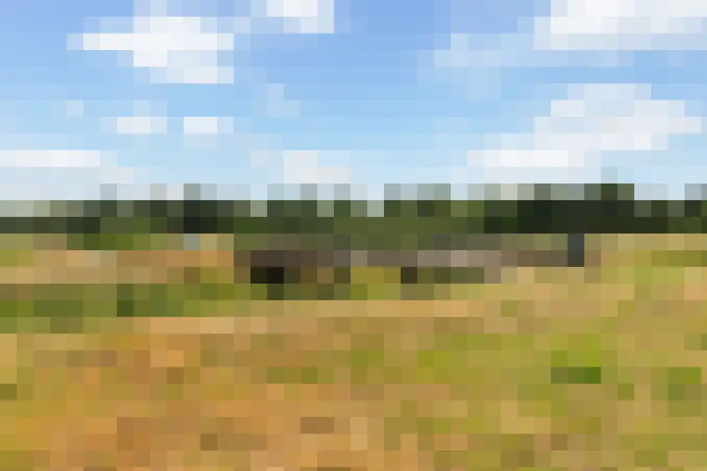 Koekoeksbloemlaan 3 Baarn thumbnail 46