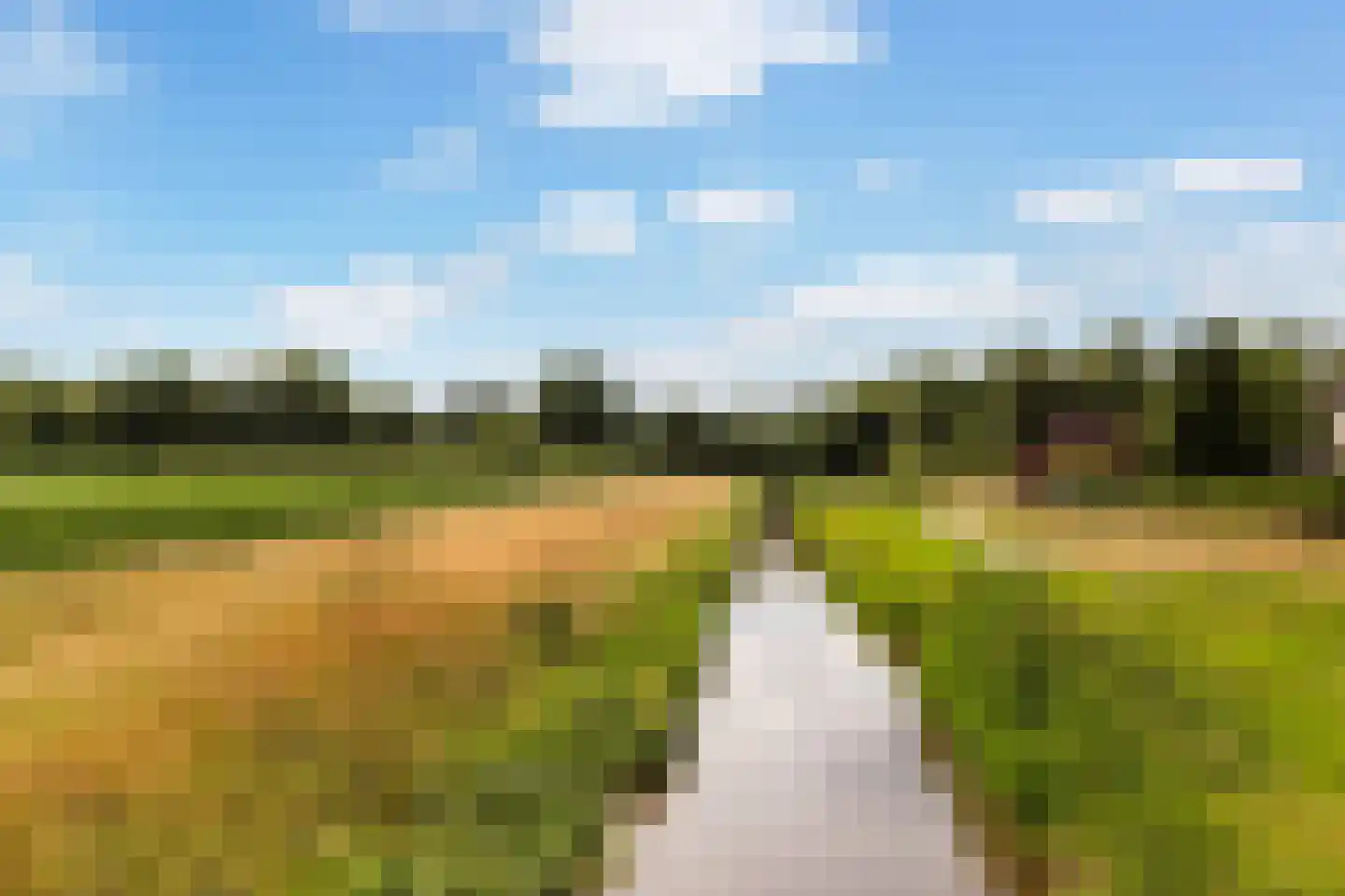 Koekoeksbloemlaan 3 Baarn thumbnail 47