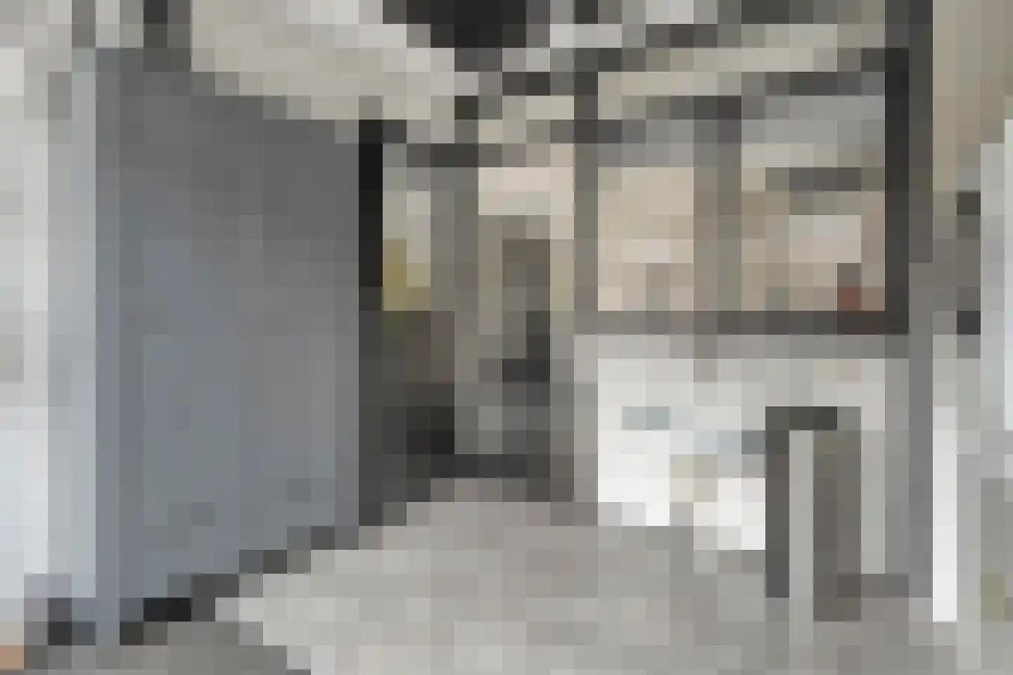 Koekoeksbloemstraat 16 Ommen thumbnail 15