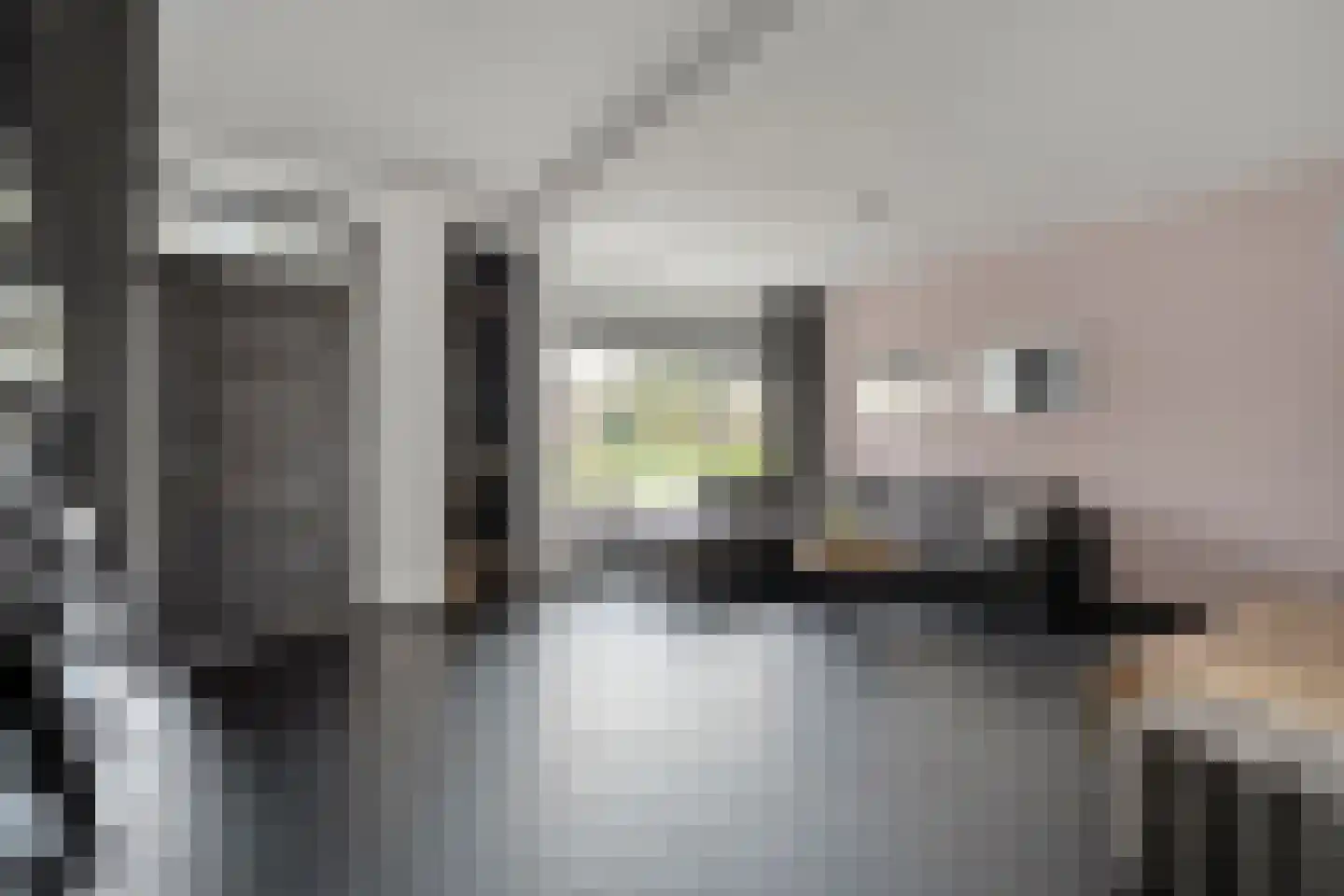 Koekoeksbloemstraat 16 Ommen thumbnail 4