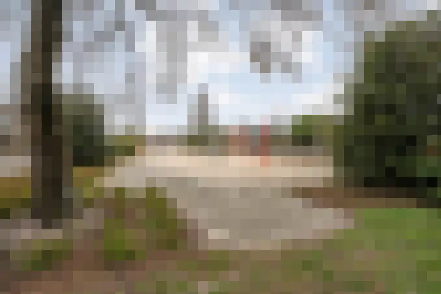 Koekoeksbloemstraat 16 Ommen thumbnail 43