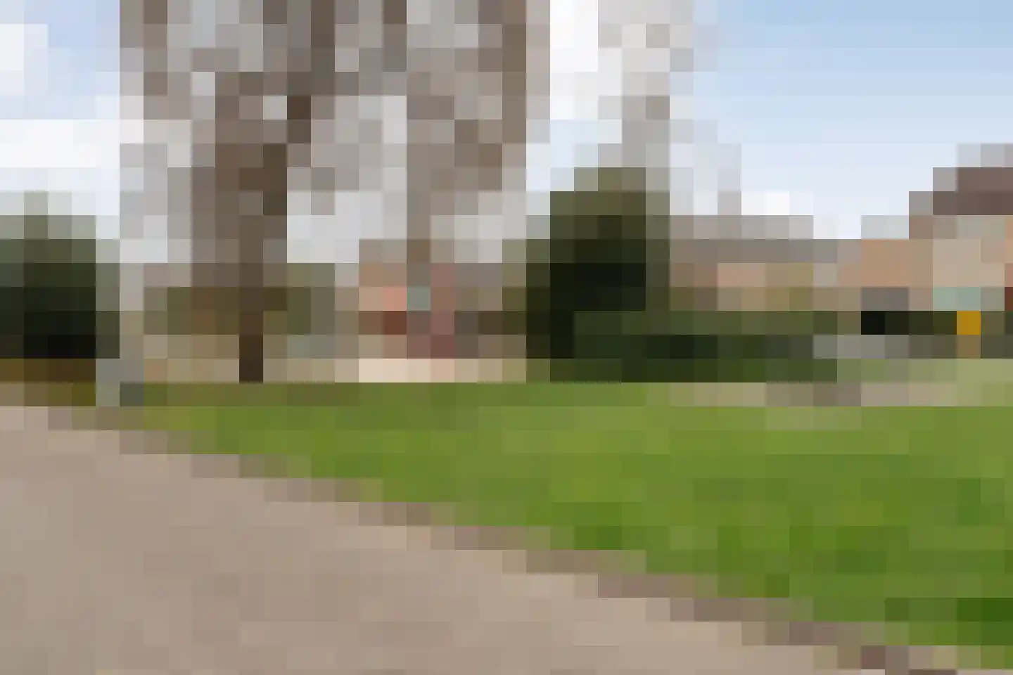 Koekoeksbloemstraat 16 Ommen thumbnail 44