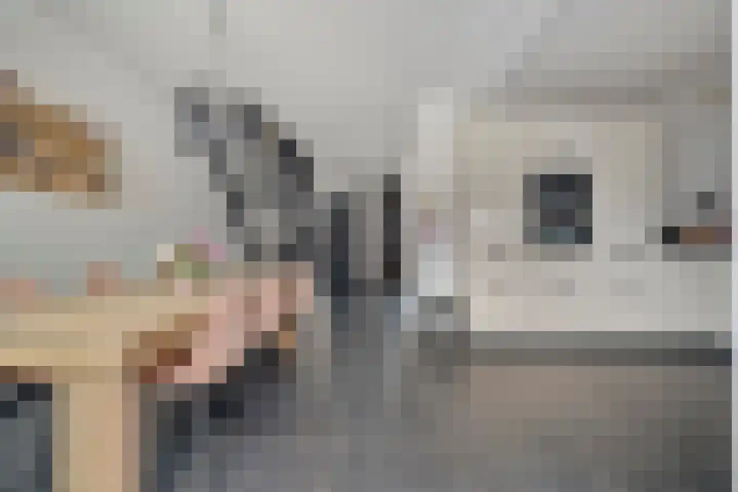 Koekoeksbloemstraat 16 Ommen thumbnail 7