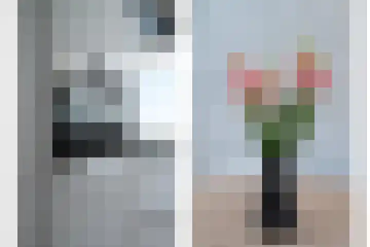 Koekoeksbloemstraat 32 Berkel en Rodenrijs thumbnail 12