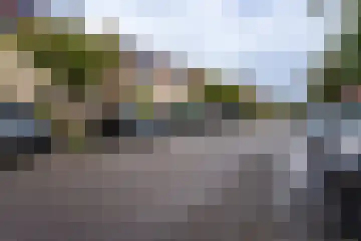 Koekoeksbloemstraat 32 Berkel en Rodenrijs thumbnail 26