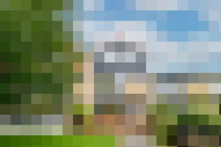 Koekoeksbloemweg 20 in Zaandam