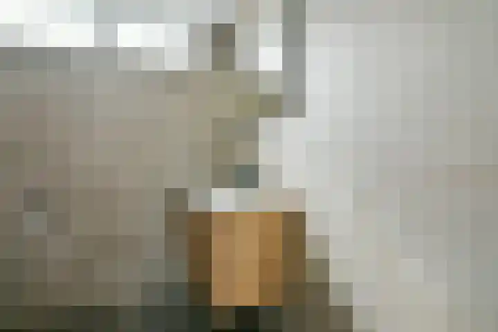 Koekoeksbloemweg 20 Zaandam thumbnail 22