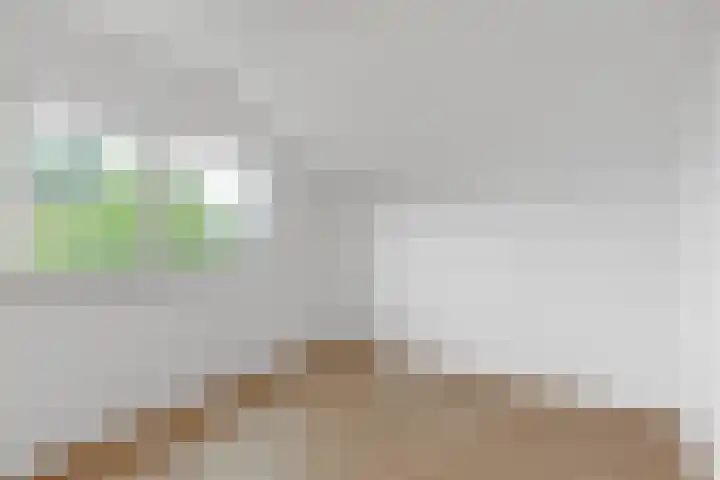 Koekoeksbloemweg 20 Zaandam thumbnail 29
