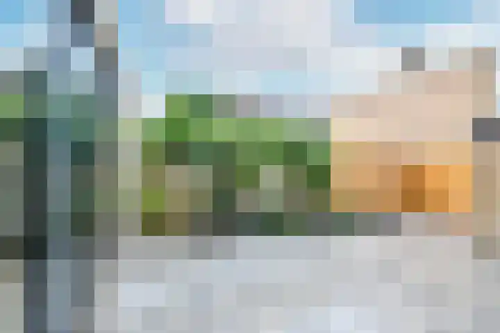 Koekoeksbloemweg 20 Zaandam thumbnail 33