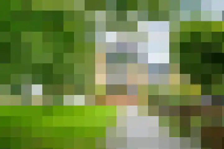 Koekoeksbloemweg 20 Zaandam thumbnail 34