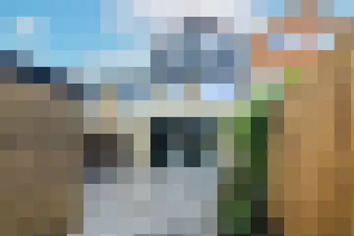 Koekoeksbloemweg 20 Zaandam thumbnail 4