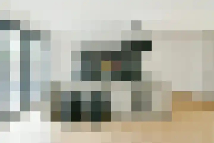 Koekoeksbloemweg 20 Zaandam thumbnail 6