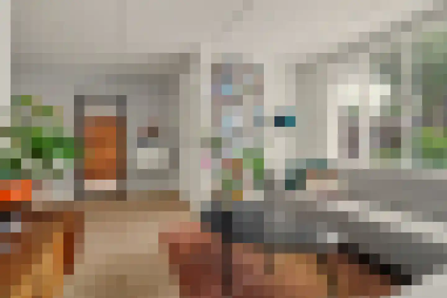 Koekoeksbos 16 Bladel thumbnail 10
