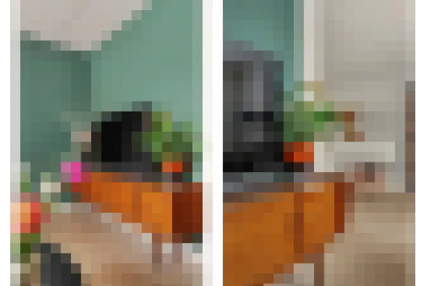 Koekoeksbos 16 Bladel thumbnail 13
