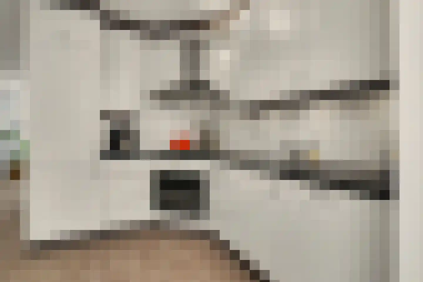 Koekoeksbos 16 Bladel thumbnail 19