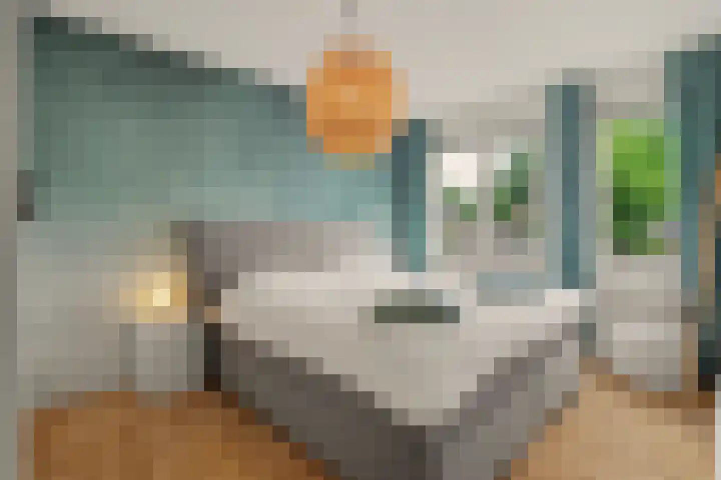 Koekoeksbos 16 Bladel thumbnail 24
