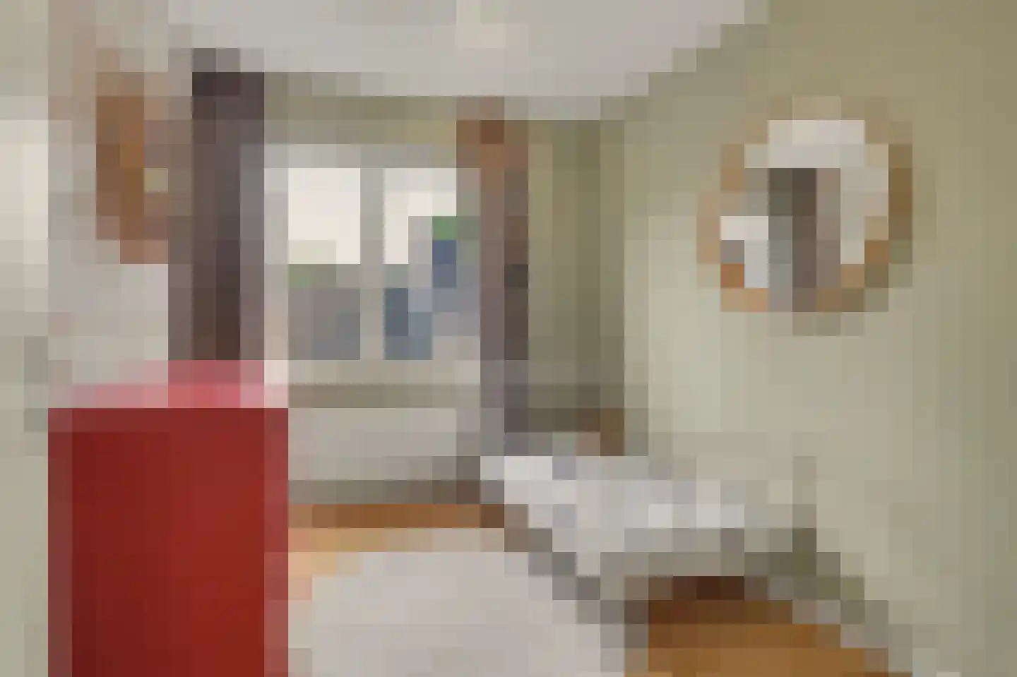 Koekoeksbos 16 Bladel thumbnail 28