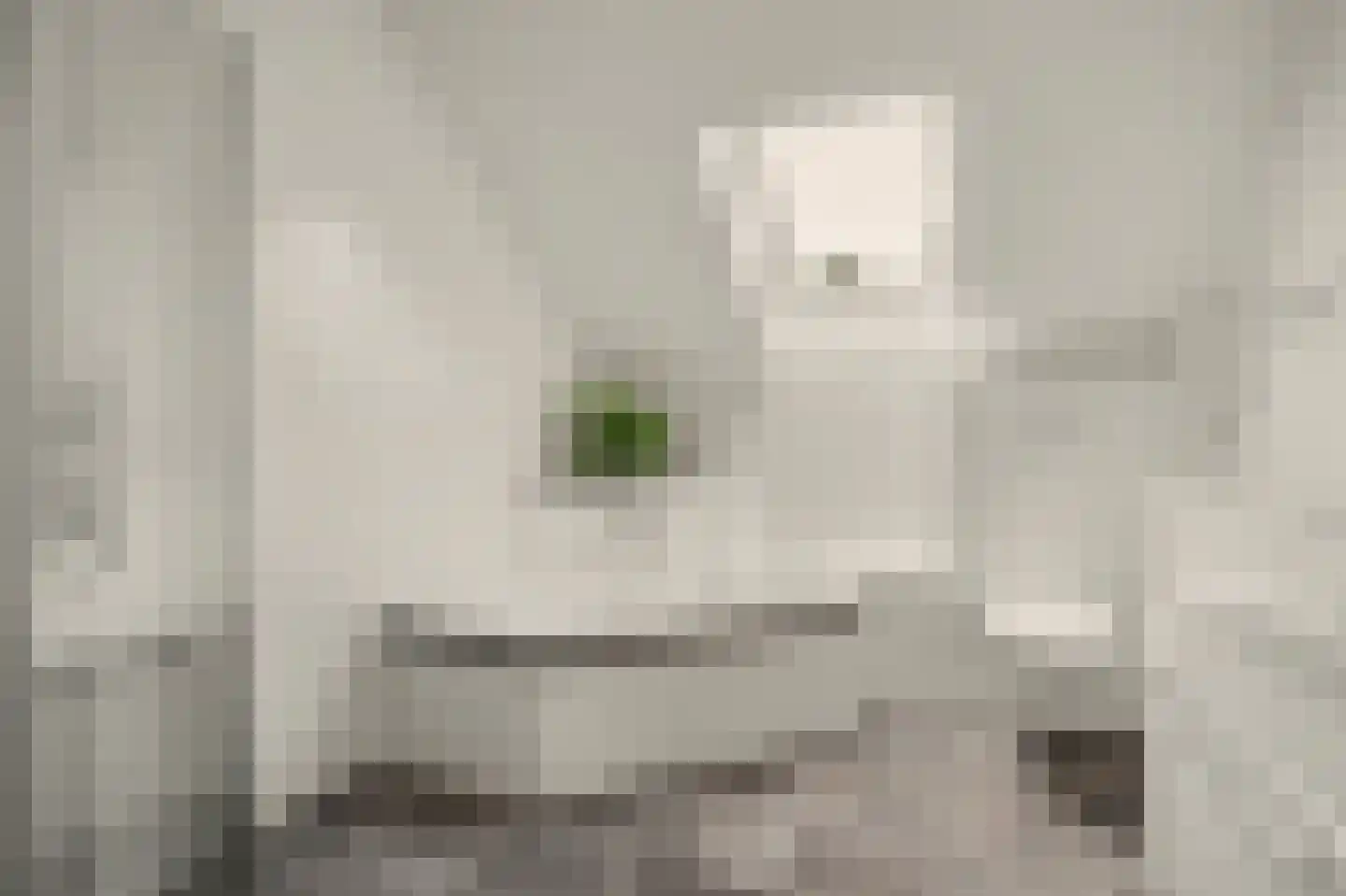Koekoeksbos 16 Bladel thumbnail 29