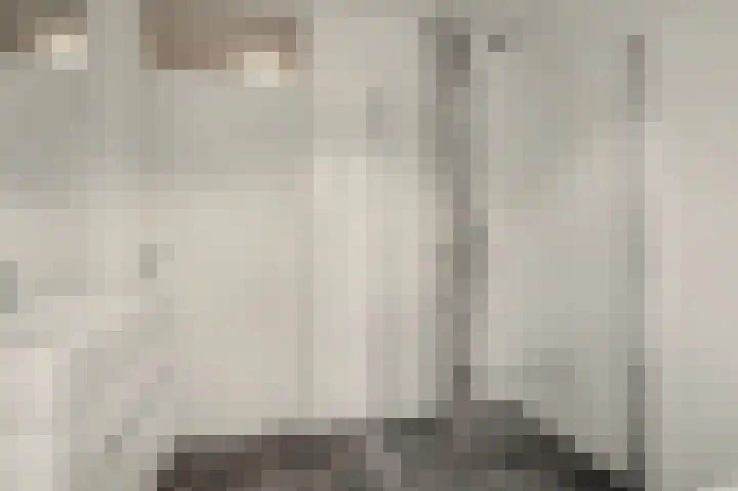 Koekoeksbos 16 Bladel thumbnail 30