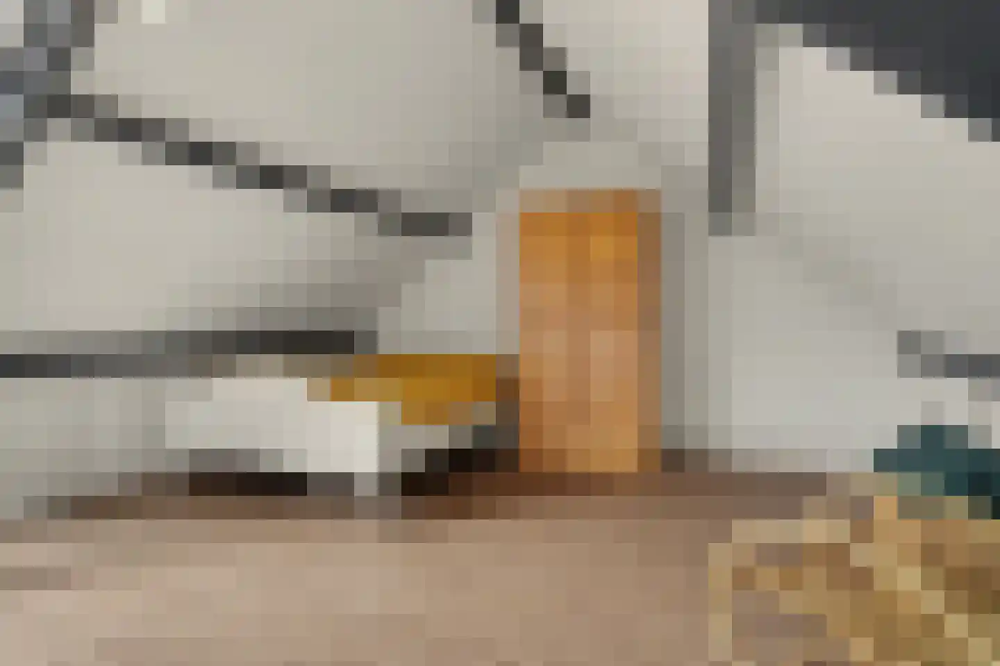 Koekoeksbos 16 Bladel thumbnail 33