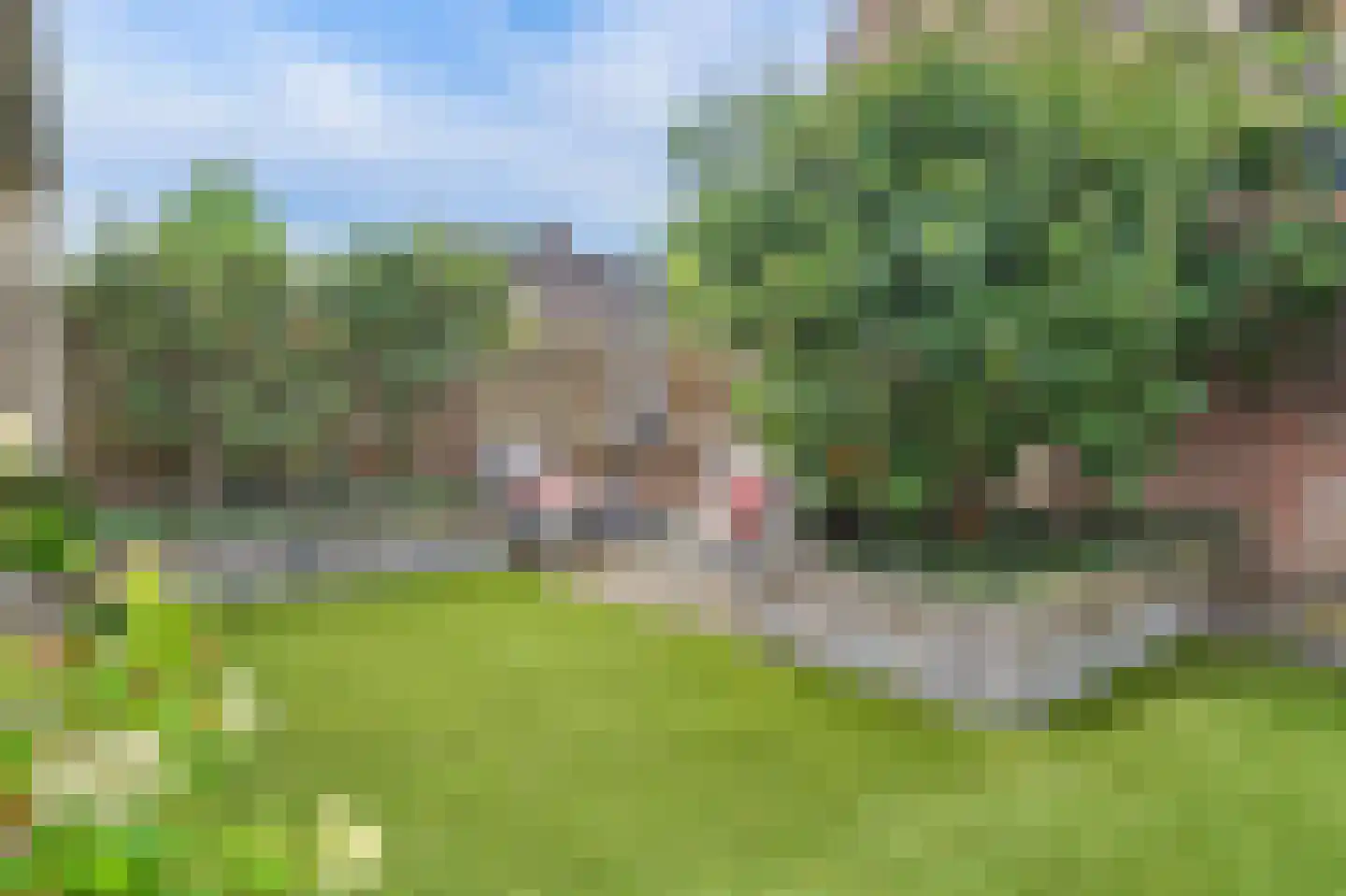 Koekoeksbos 16 Bladel thumbnail 34