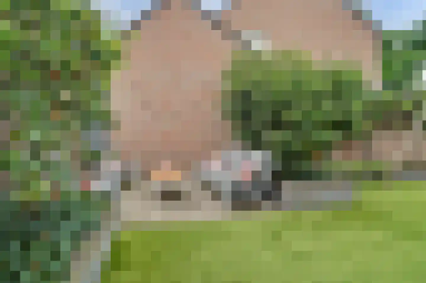 Koekoeksbos 16 Bladel thumbnail 35