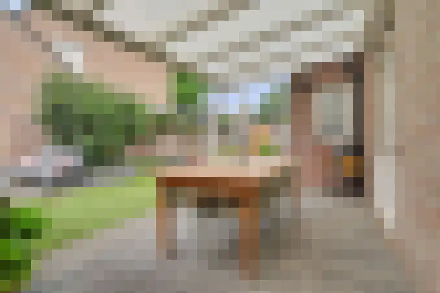 Koekoeksbos 16 Bladel thumbnail 38
