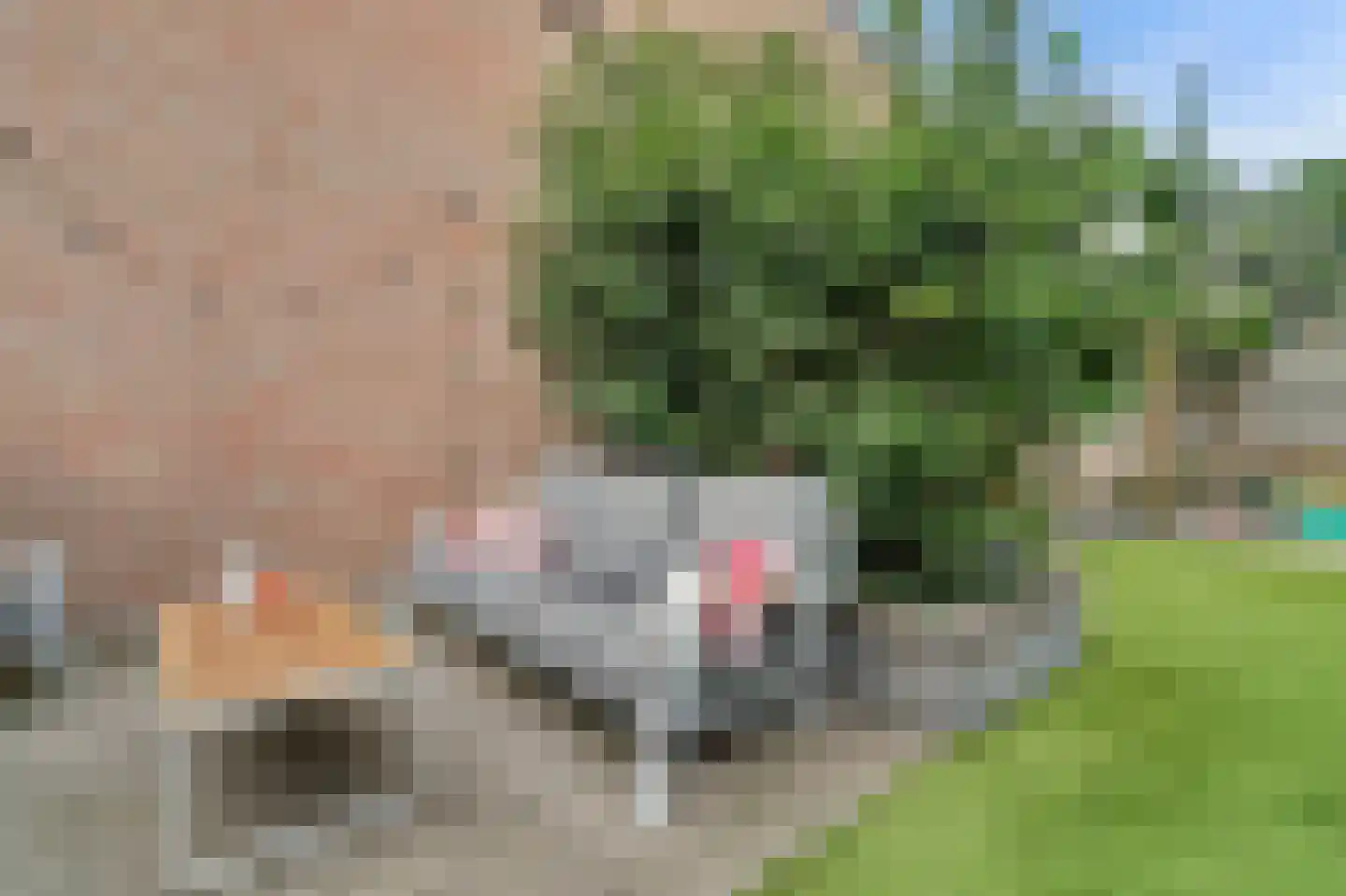 Koekoeksbos 16 Bladel thumbnail 42