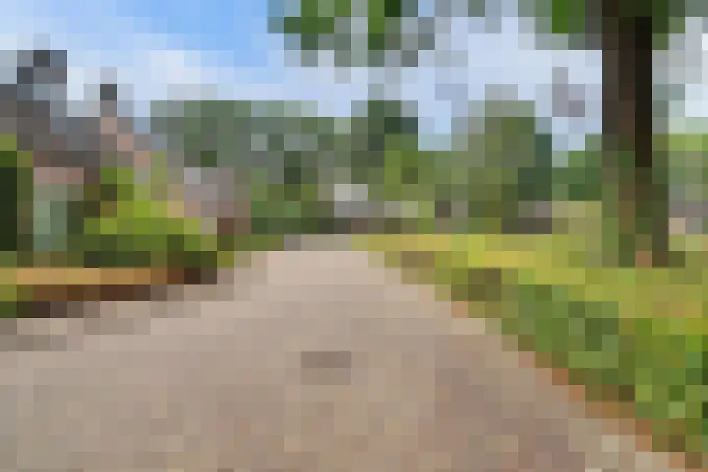 Koekoeksbos 16 Bladel thumbnail 5