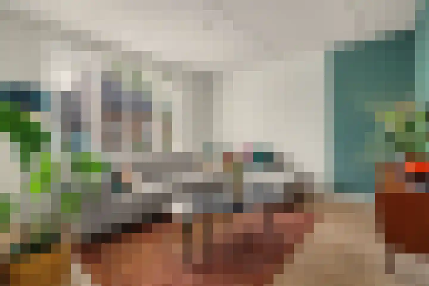 Koekoeksbos 16 Bladel thumbnail 9