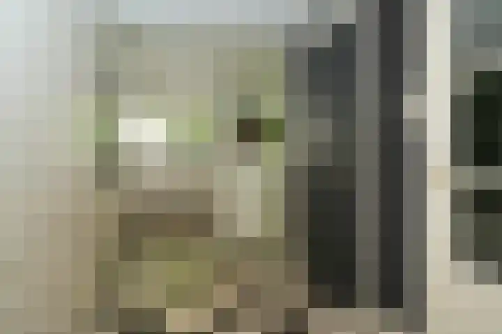 Koekoekslaan 2 Vught thumbnail 18