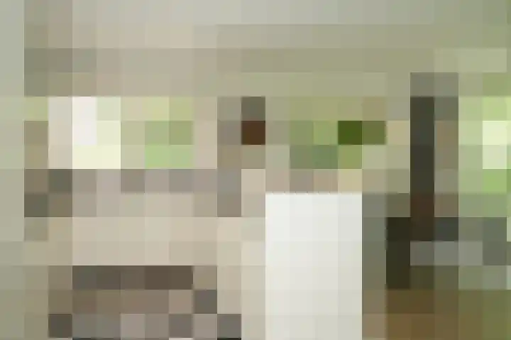 Koekoekslaan 2 Vught thumbnail 19