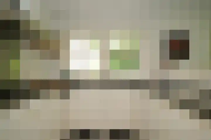 Koekoekslaan 2 Vught thumbnail 22
