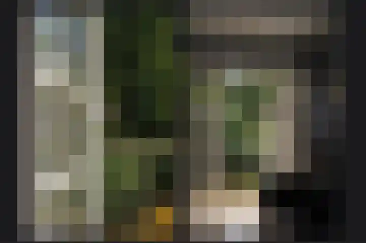 Koekoekslaan 2 Vught thumbnail 28