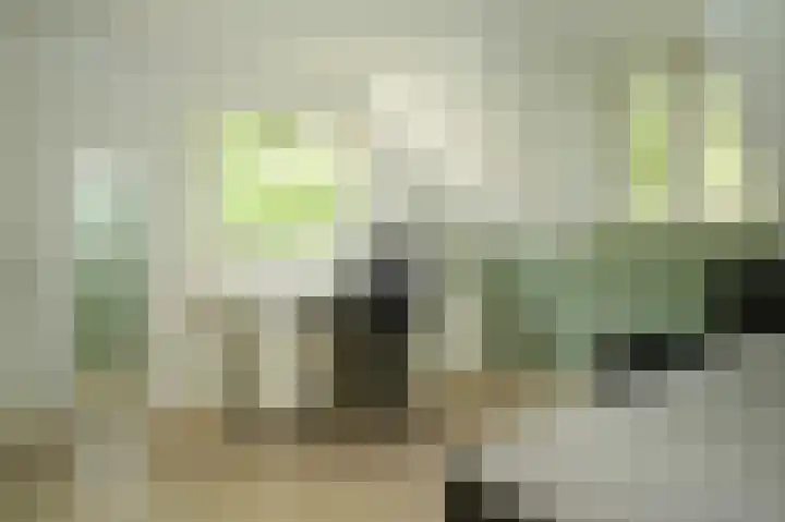 Koekoekslaan 2 Vught thumbnail 31