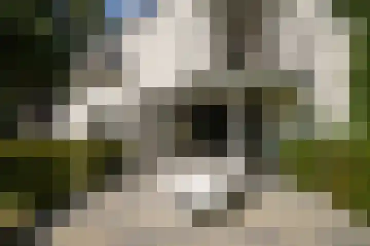 Koekoekslaan 2 Vught thumbnail 36