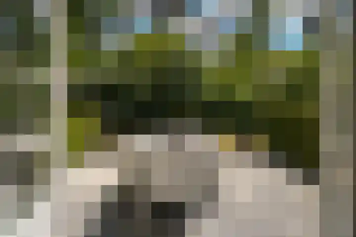 Koekoekslaan 2 Vught thumbnail 37