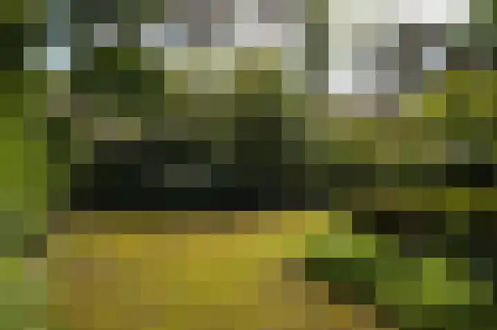 Koekoekslaan 2 Vught thumbnail 38