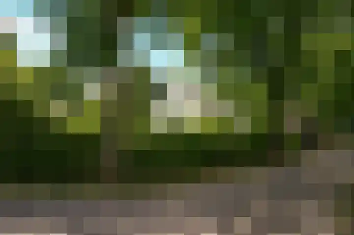 Koekoekslaan 2 Vught thumbnail 4