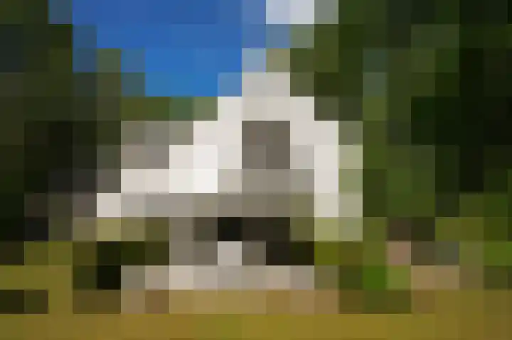 Koekoekslaan 2 Vught thumbnail 41