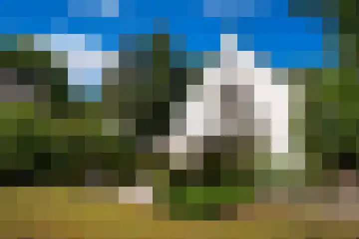 Koekoekslaan 2 Vught thumbnail 42